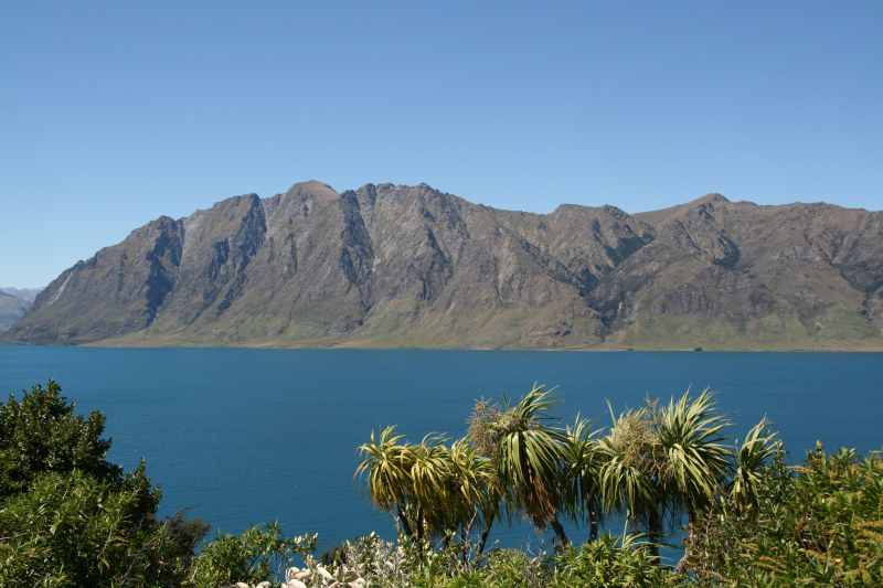 Nieuw-Zeeland 2011 - 1604